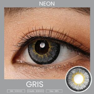 Lentilles Magister Neon Gris – 6 mois